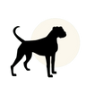 Clinica Veterinária Adamantina logo