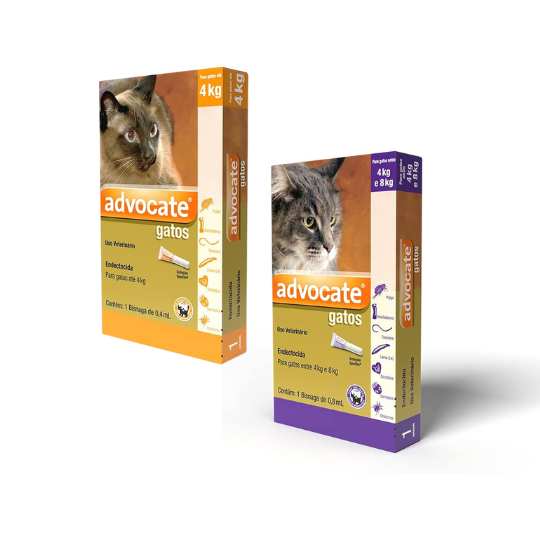 Advocate Gatos